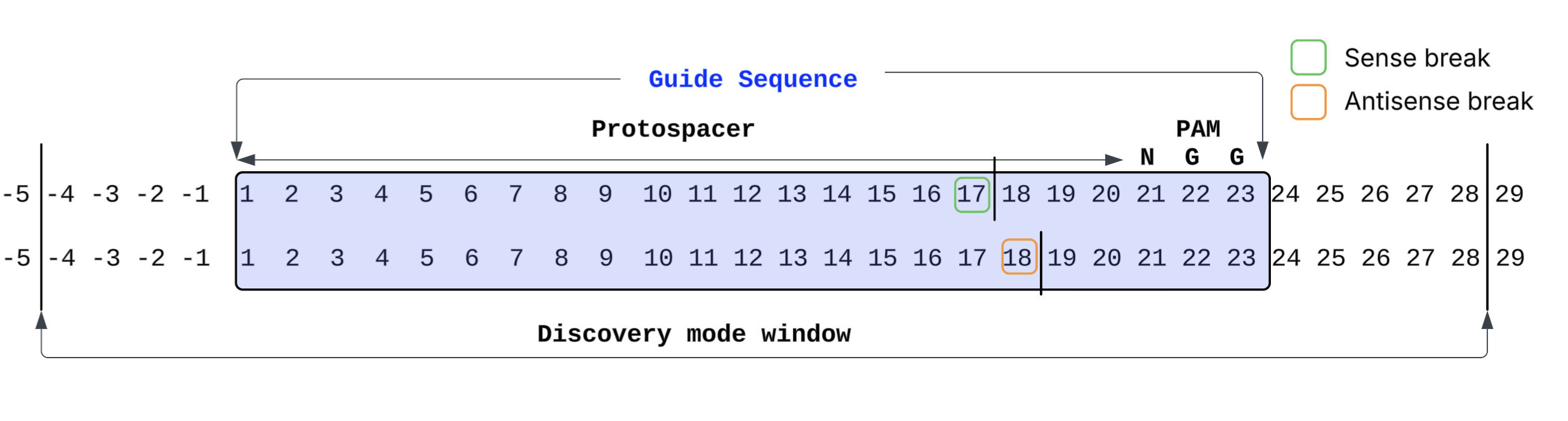 Guide sequence position diagram showing protospacer numbering, PAM location, sense break (green) and antisense break (orange)