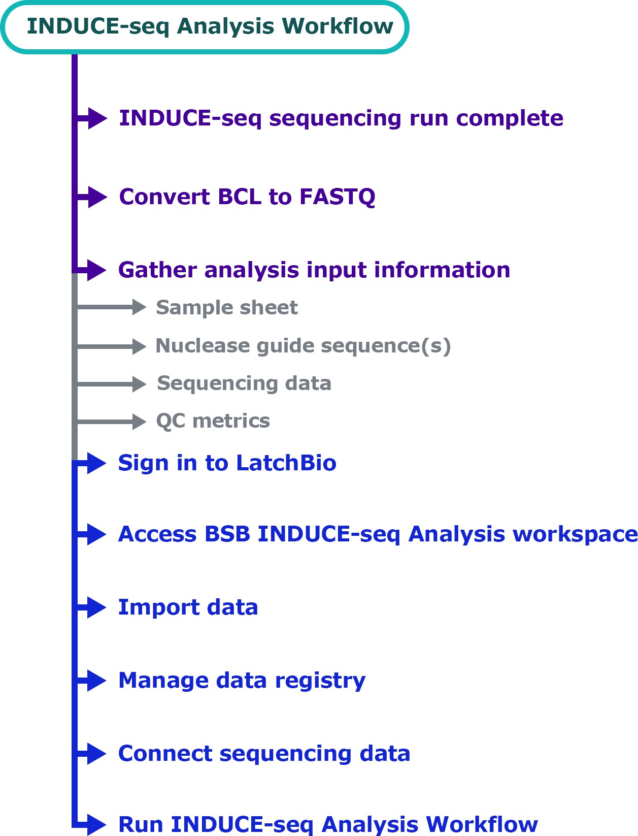 INDUCE-seq Analysis Workflow overview diagram